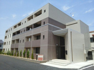 トーク鷹の羽Ⅲの画像