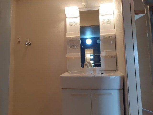 レジデンス　丸一の洗面所