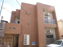 サザンパラダイスの画像