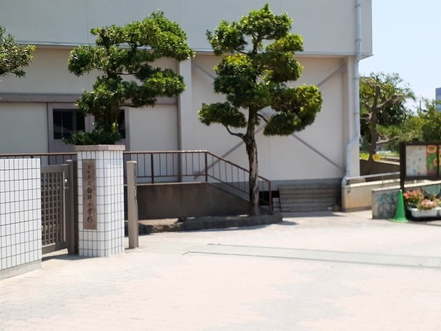 レジデンスサンモールの周辺|白坪小学校まで130m