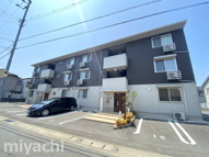 アモーレの画像