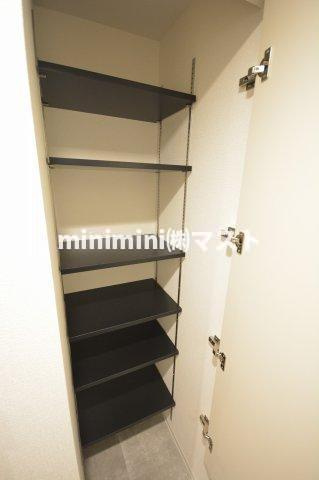 セレニテ日本橋ミラクの収納