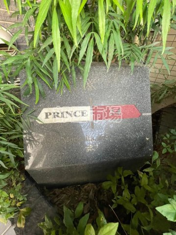 PRINCE54のその他|ランドマーク