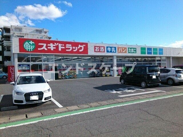 ルミナーレ　Ⅱの周辺|スギドラッグ中居店まで260m
高崎、前橋のお部屋探しはエンドスケープまで！お客様の理想お聞かせ下さい♪