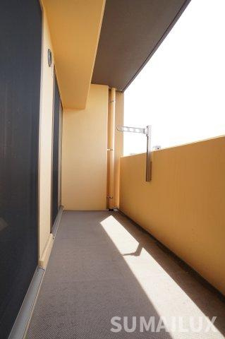 熊本市南区田井島１丁目の賃貸マンションのバルコニー