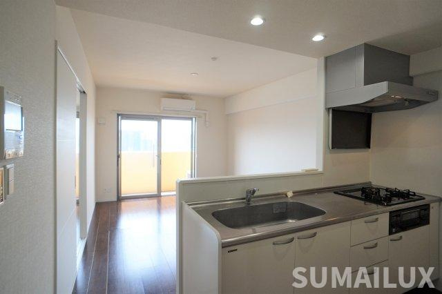熊本市南区田井島１丁目の賃貸マンションの内装