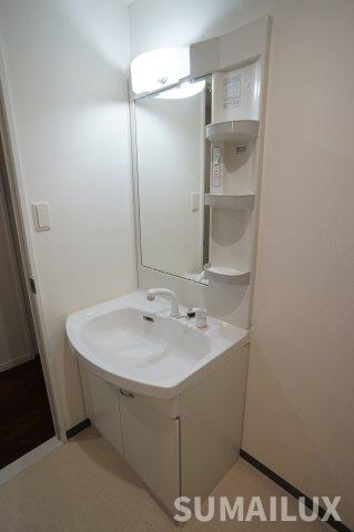 熊本市南区田井島１丁目の賃貸マンションの独立洗面台