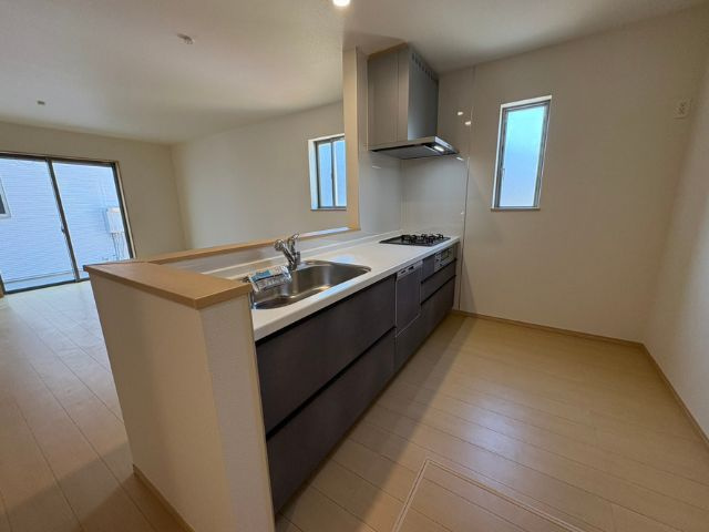 小中学校徒歩10分以内/D号棟/イオン7分/2階建/LDK18.25畳/WIC/パントリー/カースペース2台のキッチン