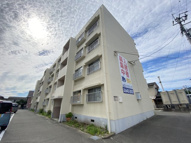 サンキュー春日の画像