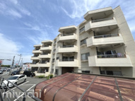 宮内ハイツの画像