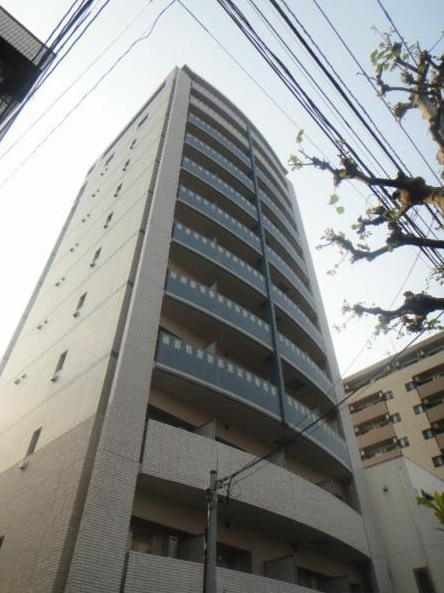 ニューボンデージ