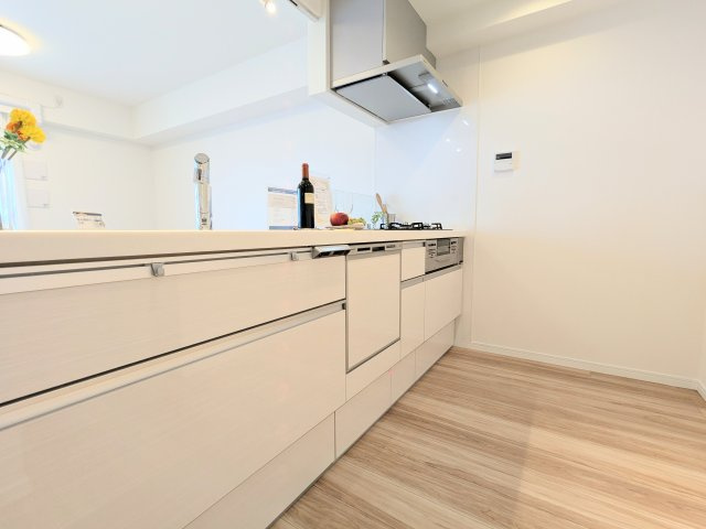 イニシア両国の展望