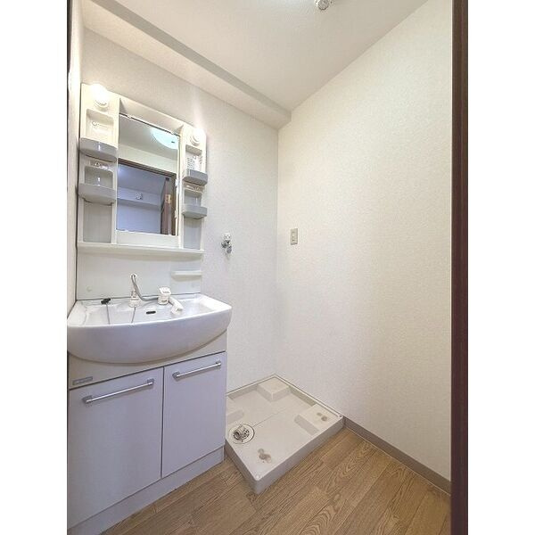 シュロス野口Ⅱの洗面所