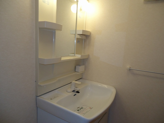 プリート・ボニータの洗面所