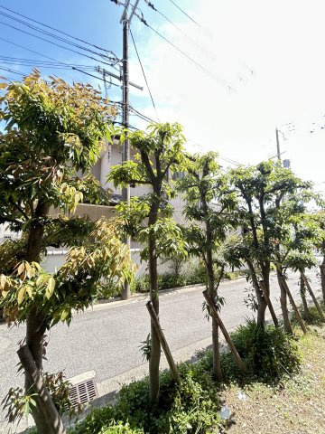 フロレセール南六甲の展望