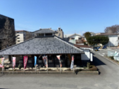 【展望】 | 桜プリズム