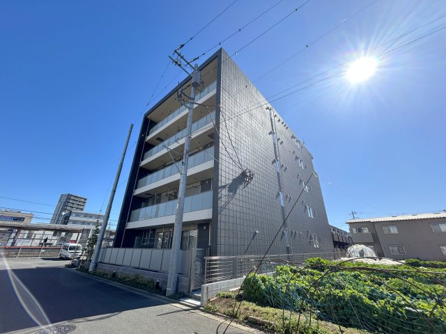 Ｒｅｇａｌｏ　Ｎａｔｓｕｍｅ