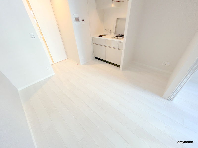 ルフォンプログレ堺筋本町タワーレジデンス　仲介手数料無料の洋室