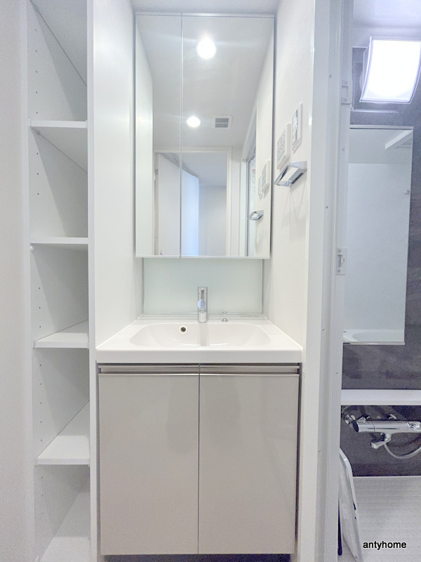 ルフォンプログレ堺筋本町タワーレジデンス　仲介手数料無料の洗面所