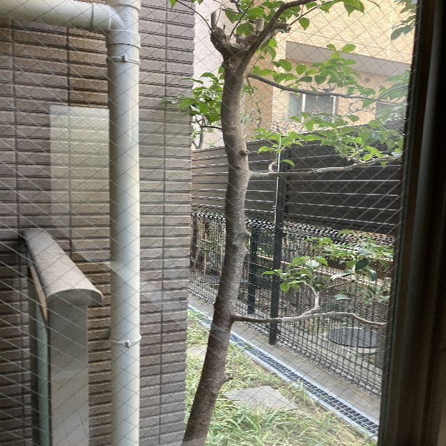レゾネア芦屋翠ヶ丘の庭