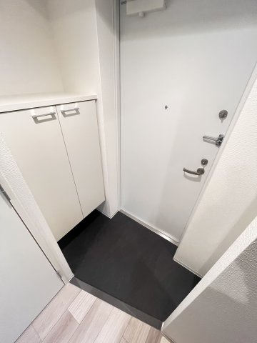 大阪市城東区放出西３丁目の賃貸マンションの玄関