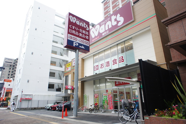 ライオンズマンション橋本町のその他|ウォンツ幟町店
