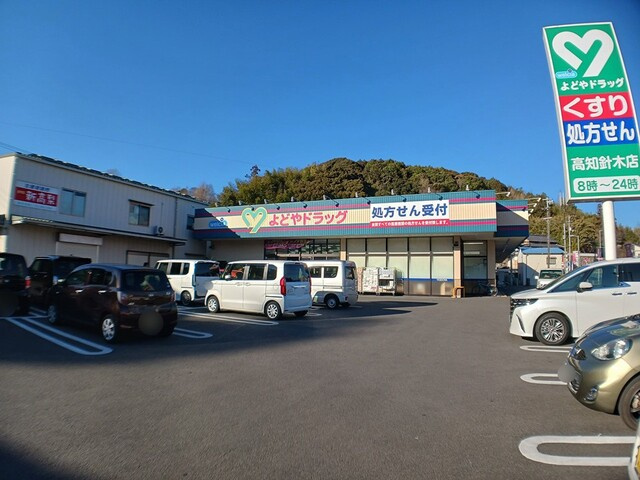 桜の周辺|その他