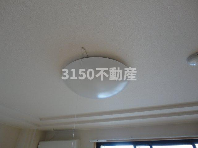 サザンクロスのその他|照明