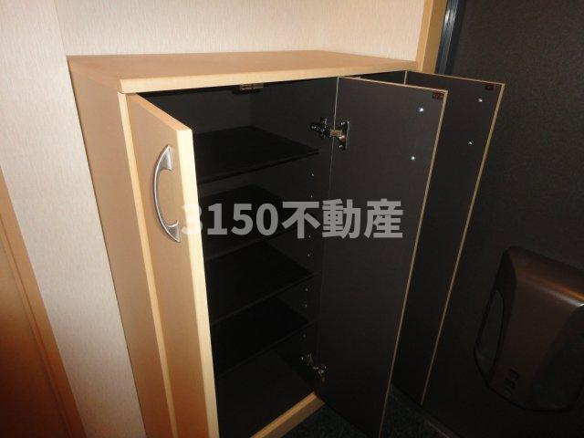 ミラーアイランドＧⅠの収納|下駄箱