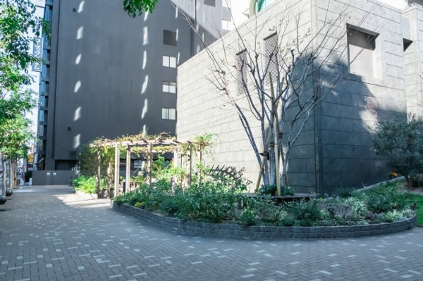 【庭】 | 【ローズガーデン】敷地南側にある、バラが咲き香る庭。円形のベンチや、パーゴラもございます！