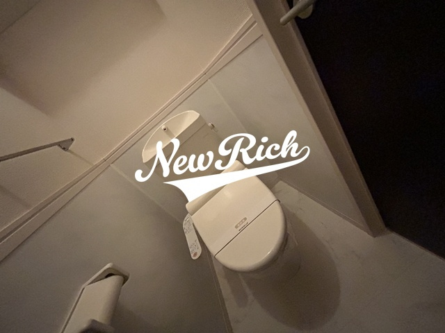 高崎市大八木町のアパートのトイレ