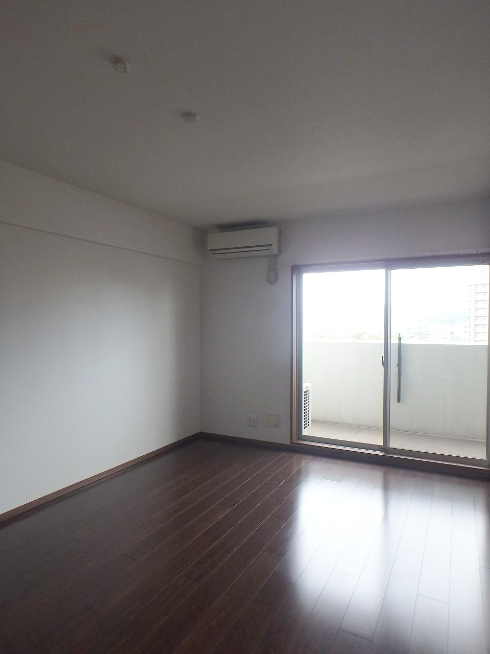 すかる通東の内装