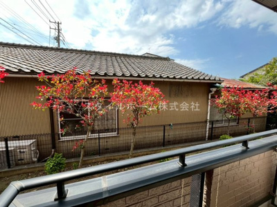 【展望】 | エヴァーグリーン二川