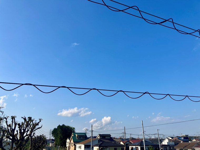むさし野戸建の展望
