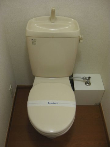 レオパレス大和田のその他