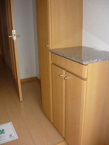 ニューアラモードＡの玄関