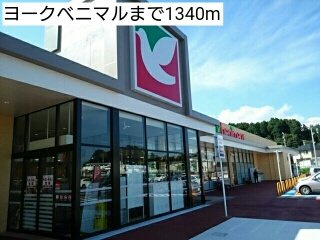 レイクサイドコートの周辺|ヨークベニマルまで1340m