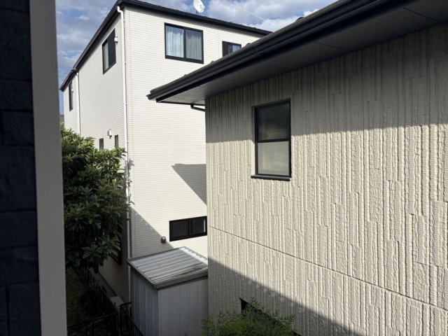 レオネクストセレーノのその他