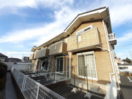 プラシードの画像