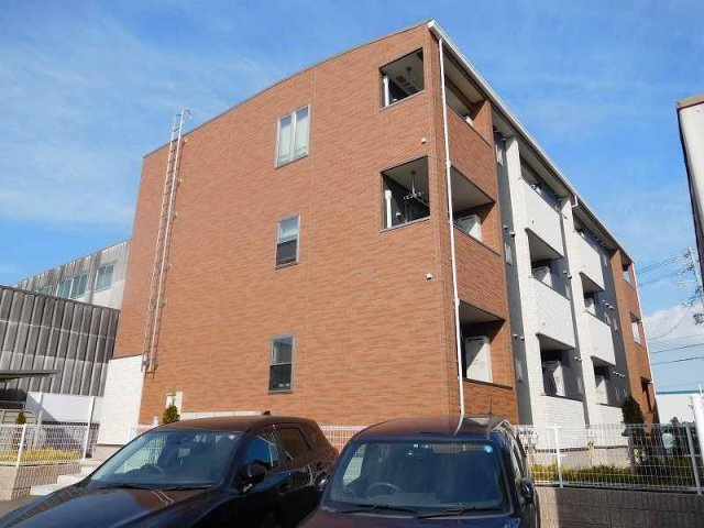 クリサンセマム