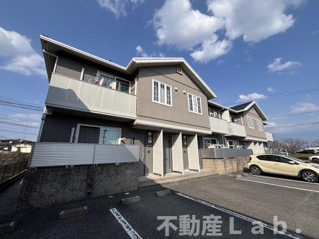 コーラルリーフ