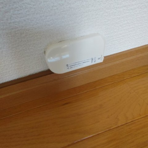 ハイツヤングリーヴスのその他