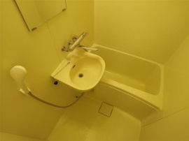 同タイプの写真になります。