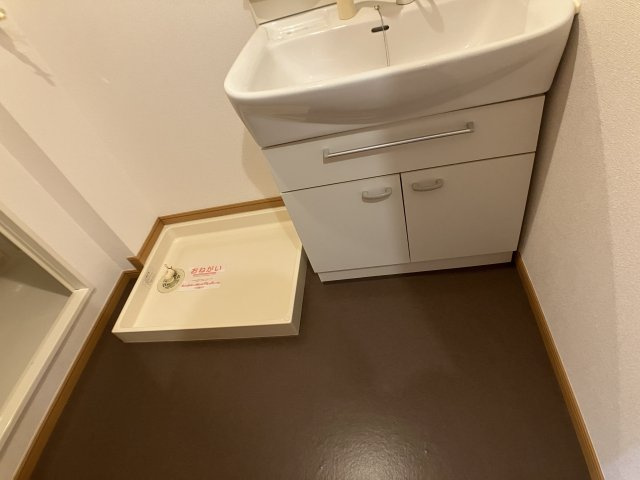 グランデカメリア山の手Ⅶの洗面所