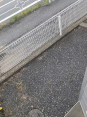 お庭も活用できます