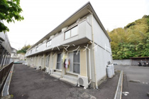 シティハイムパンジーの画像