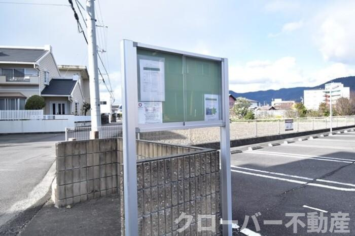 Ray SAKAMOTOのその他|お知らせ板