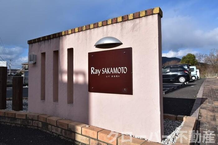 Ray SAKAMOTOのその他|名盤
