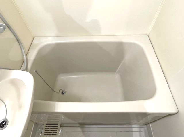 セピアパレスＴＡＫＥＭＩの浴室
