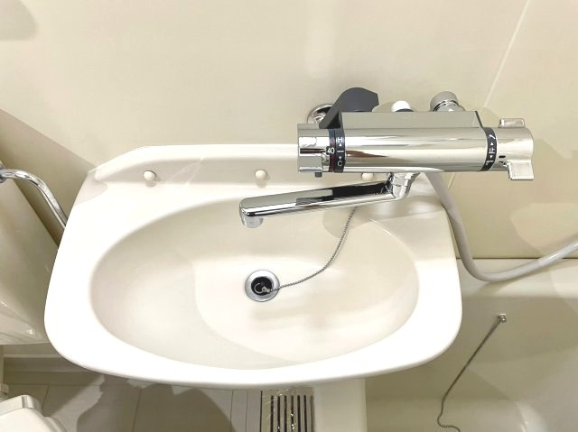 セピアパレスＴＡＫＥＭＩの洗面所